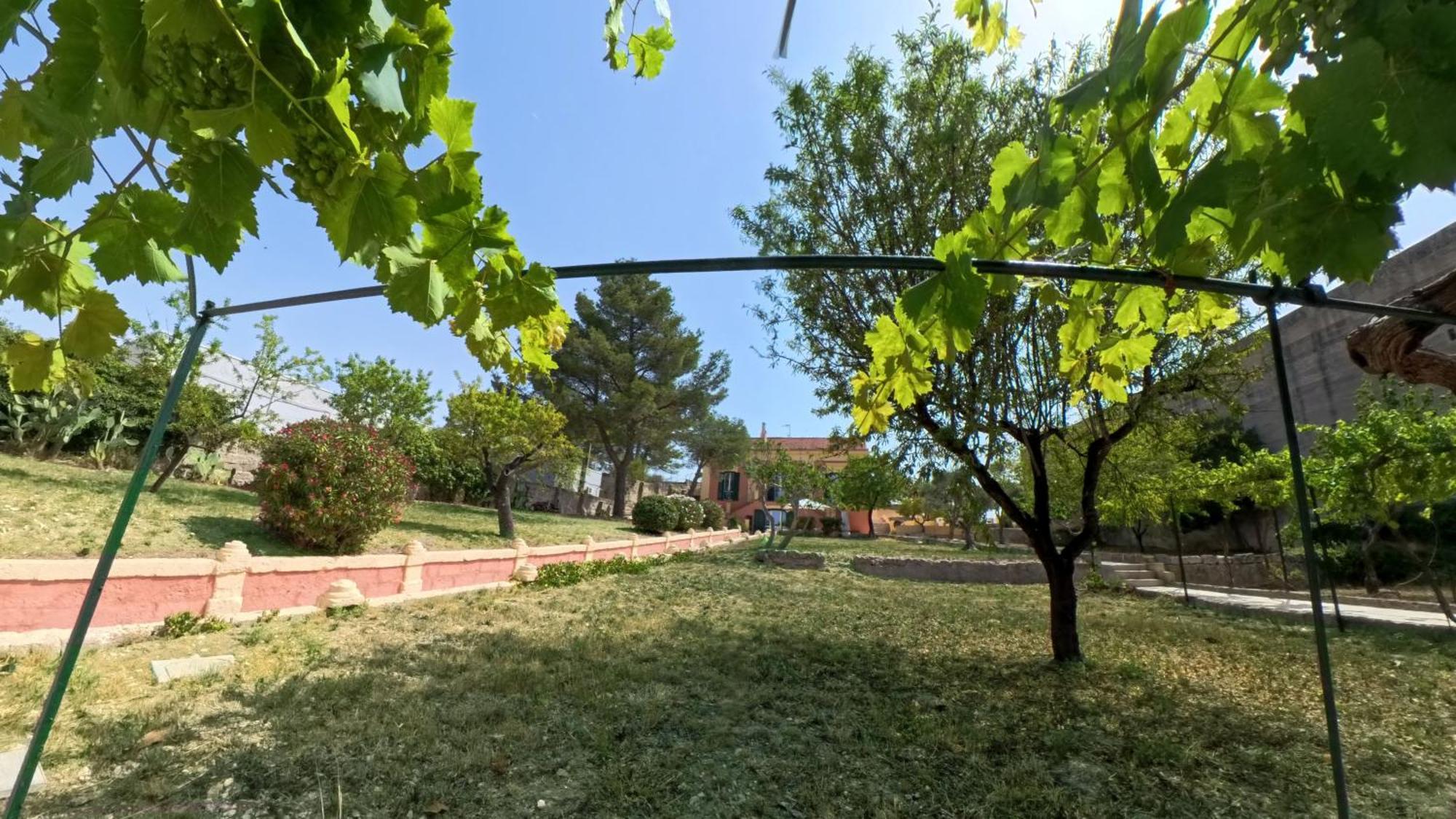 Villa Sine Tempore Fumarola 马泰拉 外观 照片